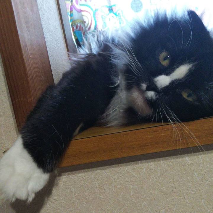 Eb47b67d 3bae 450f be7a 7d21b19d1852 1656231302762