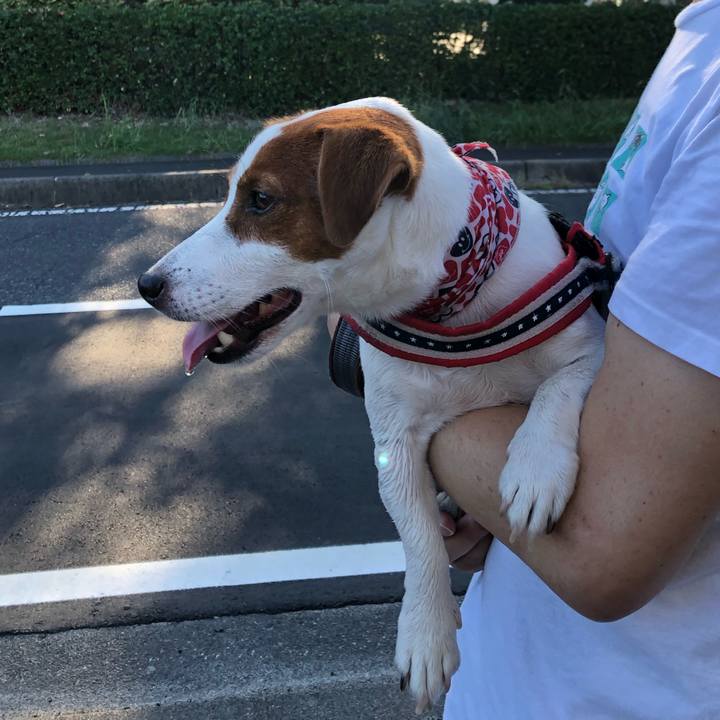 Eb47dd32 15f6 462e 945f 80dce7c42f93 1598416740830