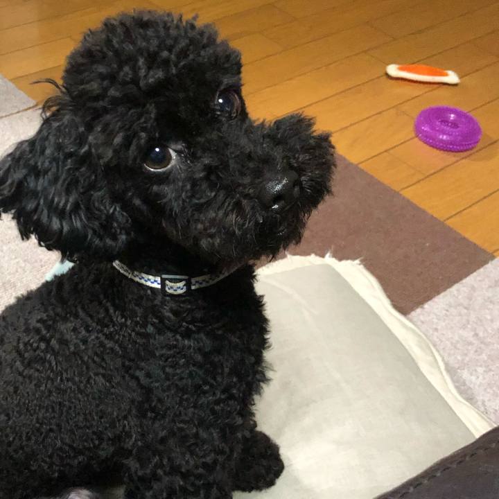 Eb481c6c 0a04 4e7a b46d 81f07b12eecc 1529965976240