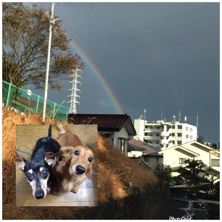 Eb48203f c9bd 4ccf bea7 261b20a31d62 1613390835372