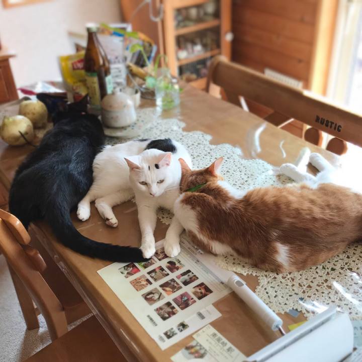 Eb483266 1d4d 4a24 8fbe b5a39125d9d2 1588989214585