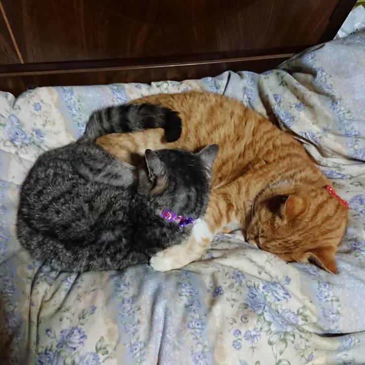 Eb488366 9f8e 4c74 a32d b44e814093ef 1578830420444