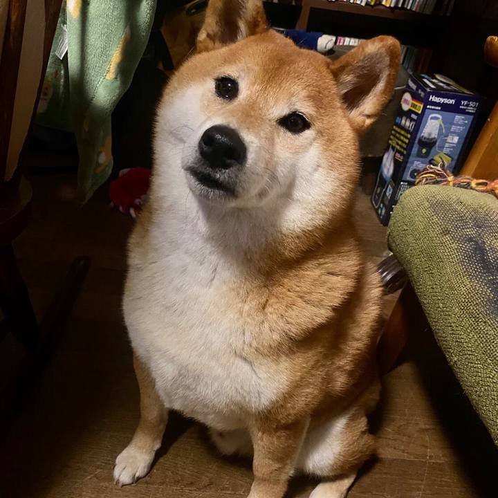 Eb4887b4 2c2f 44c8 918c c1501d546524 1594266793020