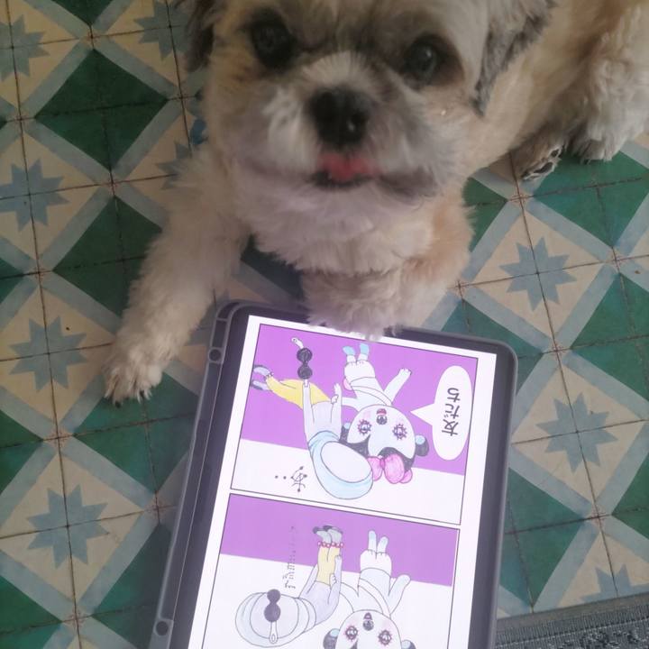 Eb4894df a5fb 42b2 bdc4 089749cb72b7 1758955048736