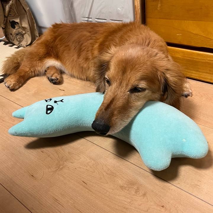 Eb48ea1d 9bf7 4f85 8b93 b4342809fc3e 1650973014392