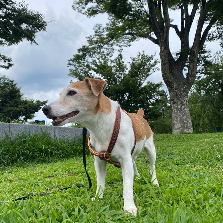 Eb48fdd3 8414 47c9 9e0c 6155080c0b6e 1687680547207