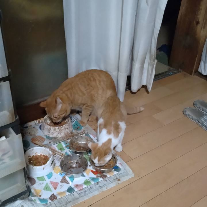 Eb4940f6 31b9 4bc5 accc 0dc2a97843f0 1728511641811