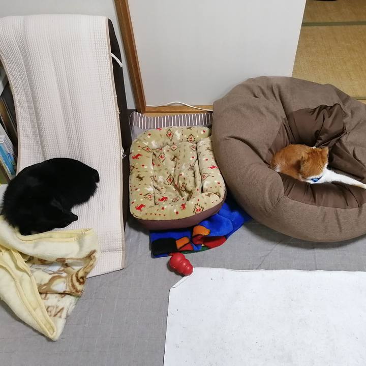 Eb49a361 1098 43f5 b50f 13a8db39f83f 1636890802964