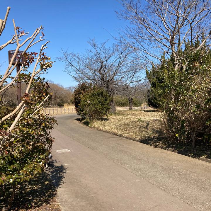 Eb49a427 e1ed 428e ac7b 93c65f8f684f 1740630682084