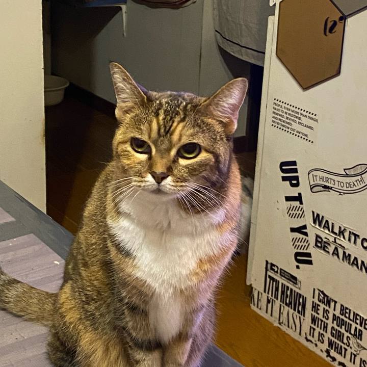 Eb49c3af 3f48 4b23 9e29 2d3bc8147f1c 1666127572253