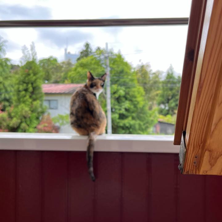 Eb49e162 d7c7 468e 96fb 55528a8091bd 1653647428560