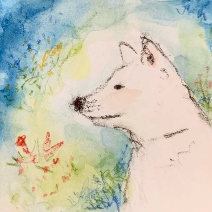 Eb49e9c5 be85 41f2 a832 4079e923941b 1634903520317