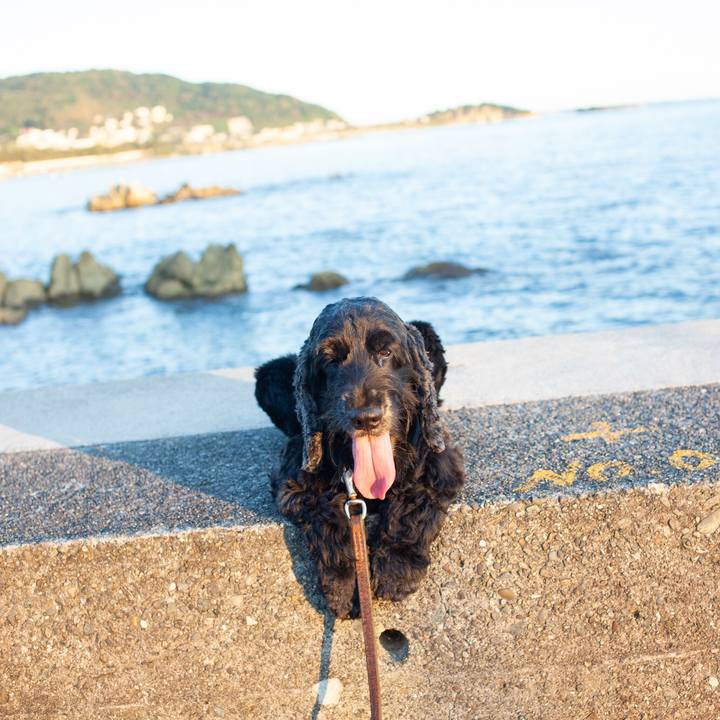 Eb49fa07 cf3d 4eb9 85d0 636d3d341e66 1564924926233