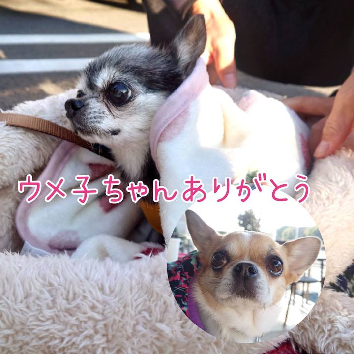 Eb4a08d4 29ef 4f4a 91e6 05219d51cb27 1674878829624