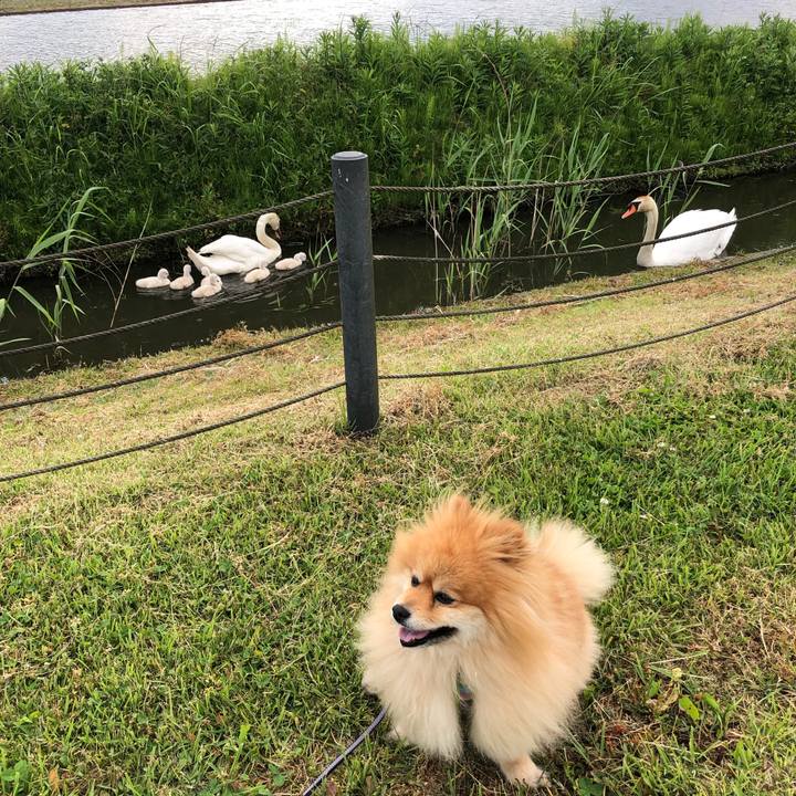 Eb4a1ddb bcca 455d bb2e a8751bc27493 1557796915849