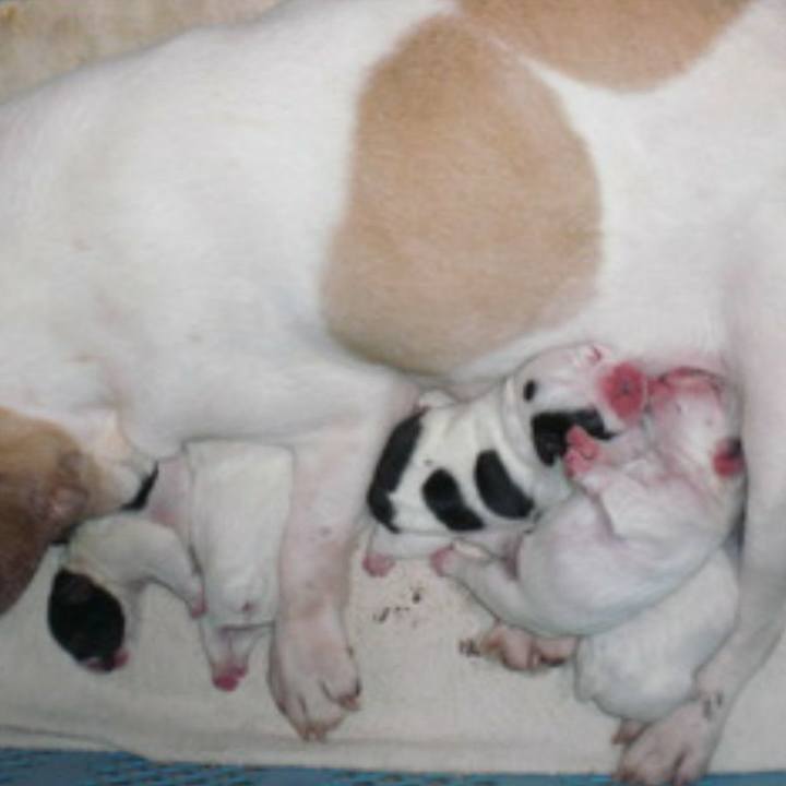 Eb4a63e7 0231 4894 977a cccadf35ee67 1683578170717