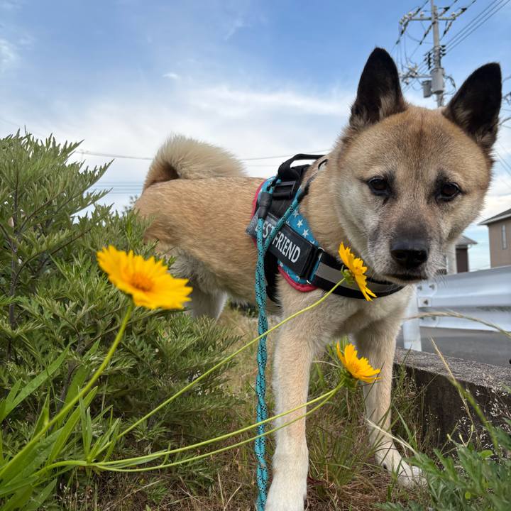 Eb4a66bc f2f2 4d76 85d8 ec87ce96c9d7 1749128265768