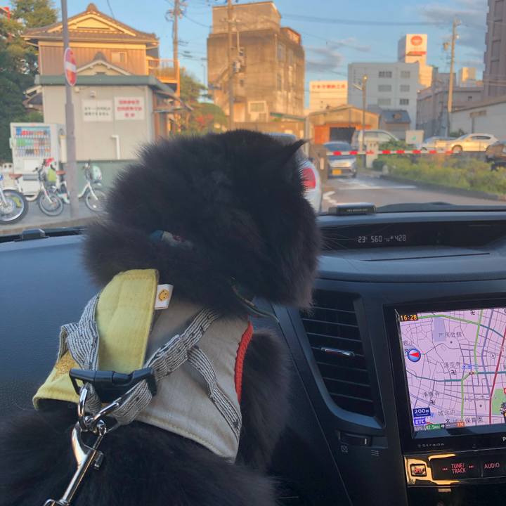 Eb4a6f47 6049 4831 be89 30084139b33b 1635578979298