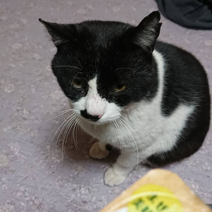 Eb4a7761 1b41 4171 9683 bdd964d64a47 1545912306020