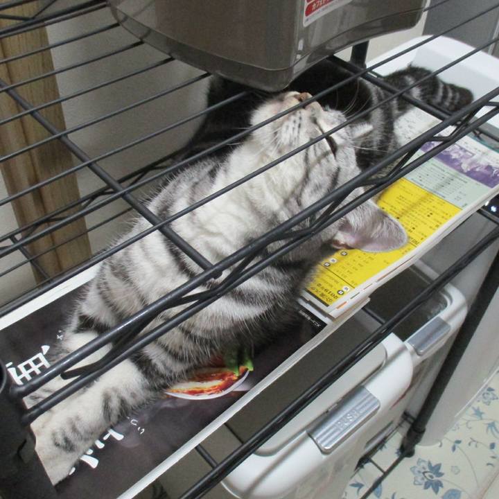 Eb4a875f d079 4019 8f9f 1cb54f9eaba3 1549848262400