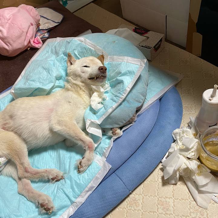 Eb4a9df7 4695 411e 83a0 593681c8961e 1680529534131