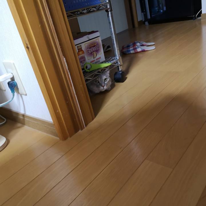 Eb4aa998 d741 4e8c 8eae 94795c05d916 1592661523137