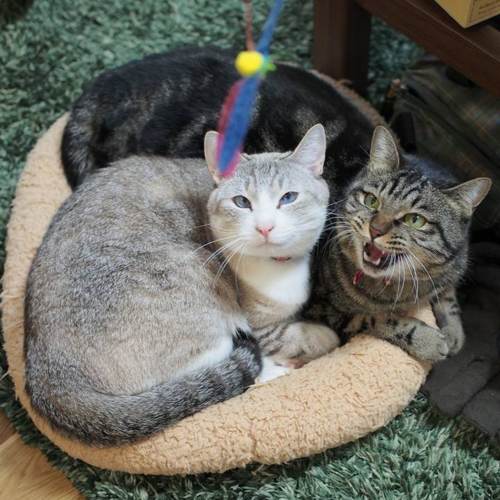 Eb4ac518 0032 4ac6 b631 4d39680e3278 1576400884421