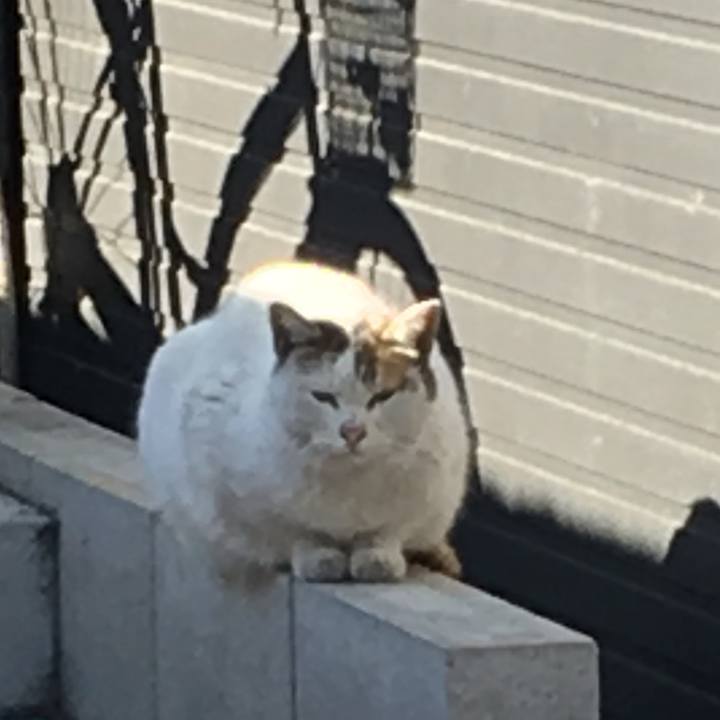 Eb4b4209 2bd7 482b 8a29 5982c0c157ef 1549209544990