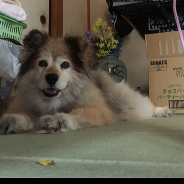 Eb4b4680 18e0 4f0e abc7 05468df2ff61 1602941569297