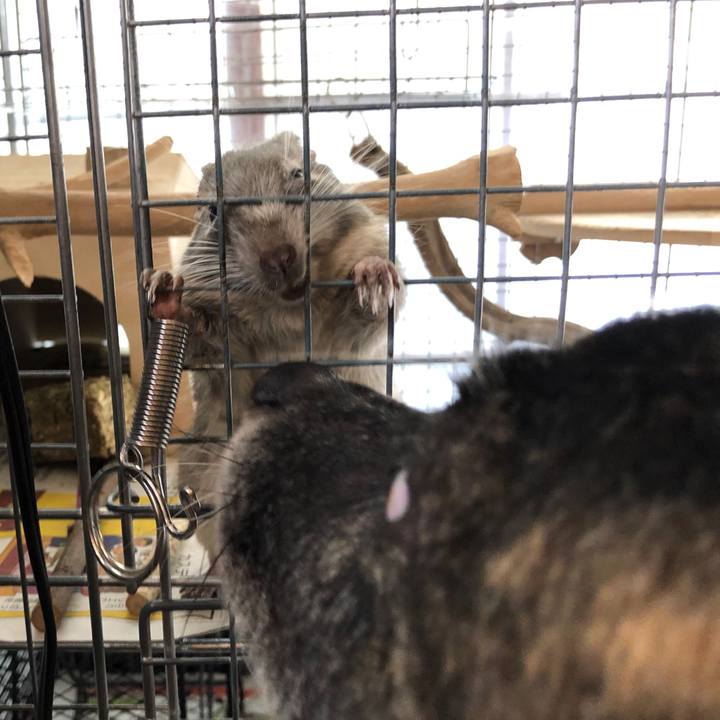 Eb4b4c1d cdb0 48cb 861e e4f4989956a0 1572147536324