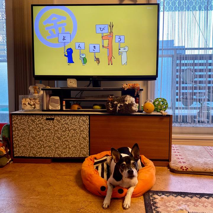 Eb4b6ad6 6104 4a93 a58a a3eceef720d1 1607033340575