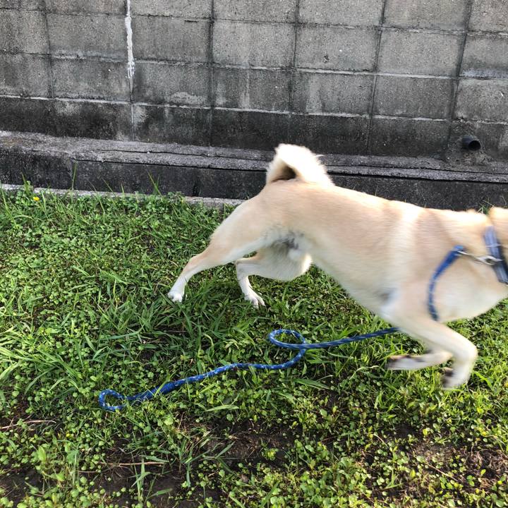 Eb4bacd9 c7b9 40dc ac3b 93a3c73fe199 1590406996344