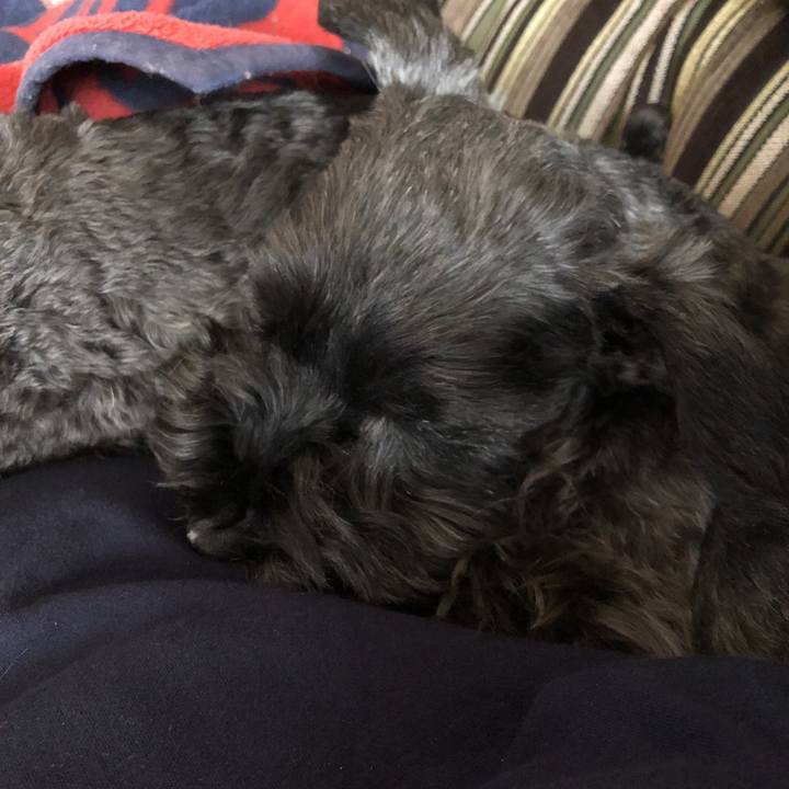 Eb4bc933 0061 4832 b1c5 ad28b5897553 1586215517710