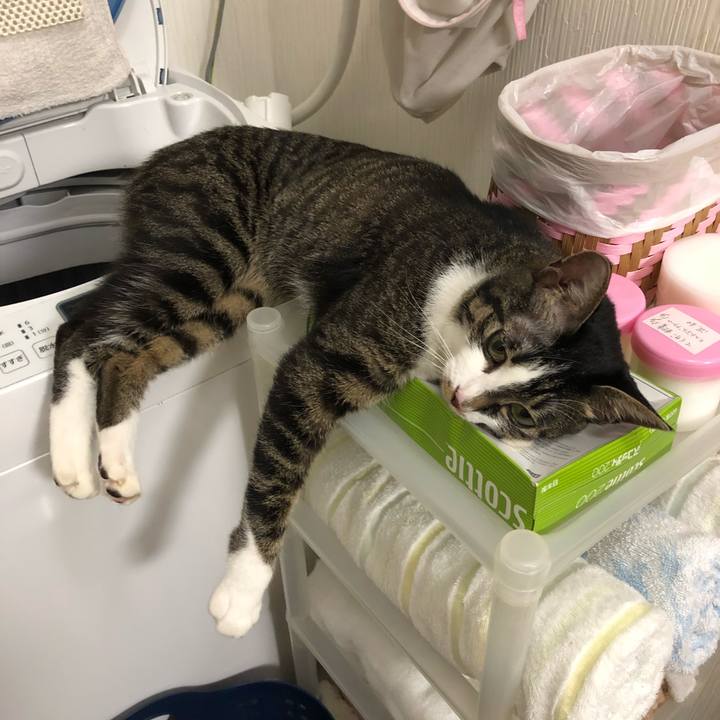 Eb4bdbfc 4e82 4913 b852 2f022d413939 1531705575022