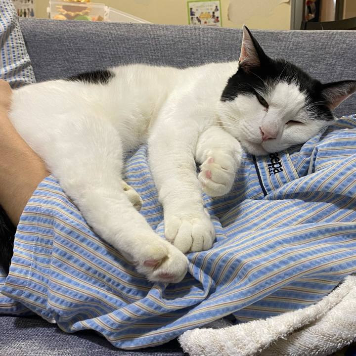 Eb4c1785 79bb 412e b84e 77e7f405a9b8 1699584351273