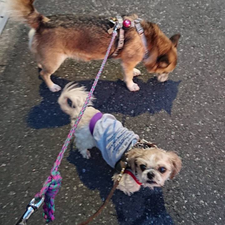 Eb4c6c06 cf4a 42d3 a908 91f3ff9d4d22 1552403948993