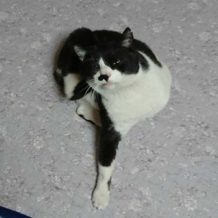 Eb4c6f9c 754f 4e9b 87a6 905b0666af78 1547117724175