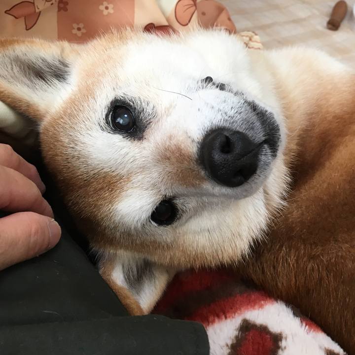 Eb4c7008 af1a 47a9 b039 5ee2a6b2c7fa 1516927491335