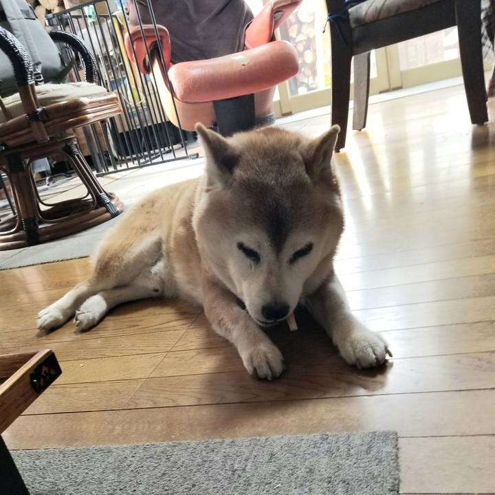 Eb4c73c3 397b 488e afc6 35d24cb909a3 1743808636621