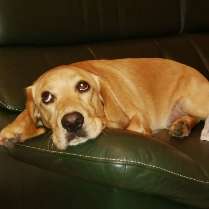 Eb4cfdfb 961b 4145 ae0b 382dac1f0c44 1531273015214