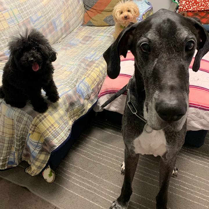 Eb4d01a7 e6b8 47e1 996b 5d366474ed54 1601332313962