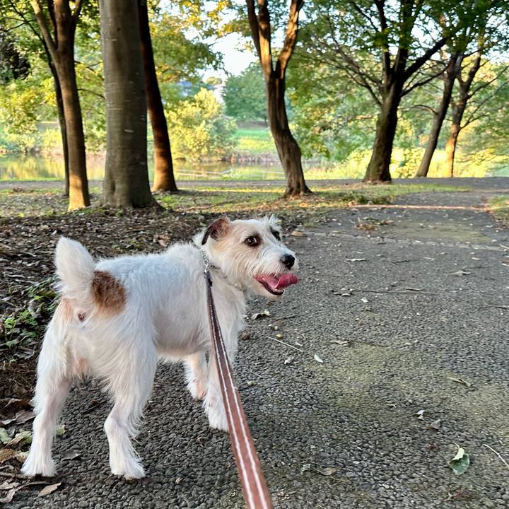 Eb4d2e75 0a83 4b4c 956d 4e143a711c80 1758720946465