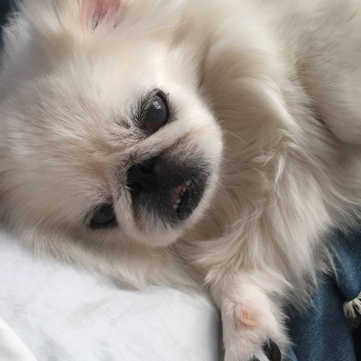 Eb4d8e23 d7ab 4109 a32a e5d8aef34d44 1570337348226