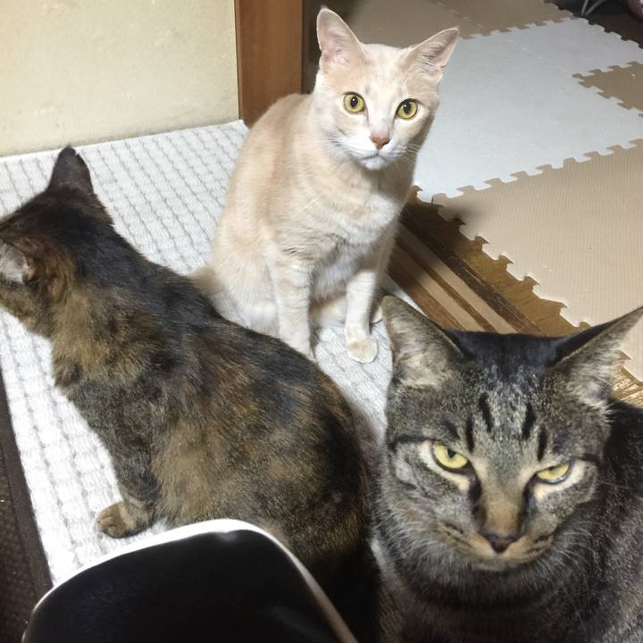 Eb4db39f f0cb 49c9 9be5 0a0b1f82bb1c 1553225316013