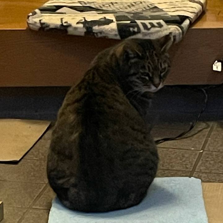 Eb4de9a6 bfc5 48c2 8319 9f0ad8c4cffc 1610105128226