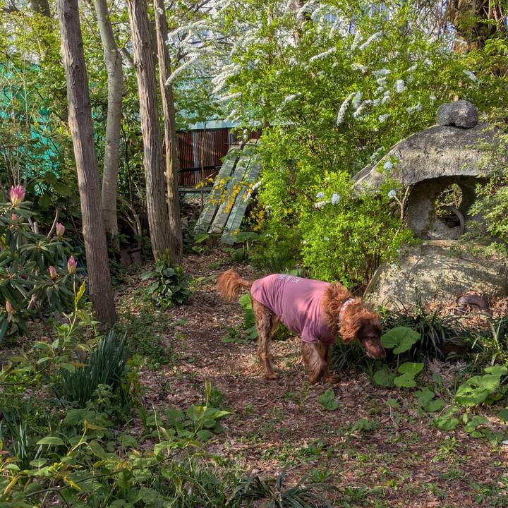 Eb4e0a12 1ff9 4a9c a685 318f6248dfc4 1776896659096