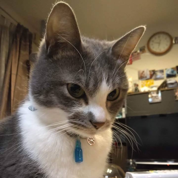 Eb4e0d3d 35c4 49ce a859 b27c99303efc 1671453314578