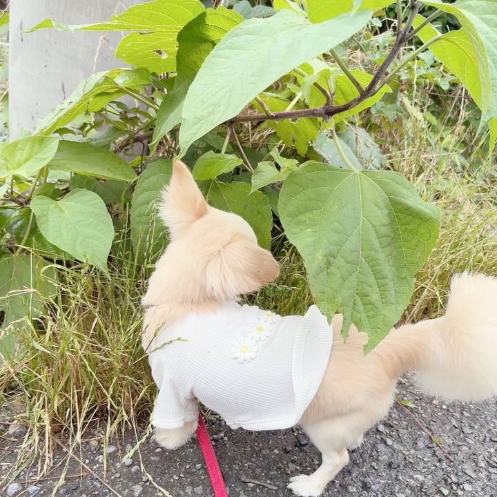 Eb4e2155 dbf3 4e6a a0d4 7e3a28065bfe 1687510697890