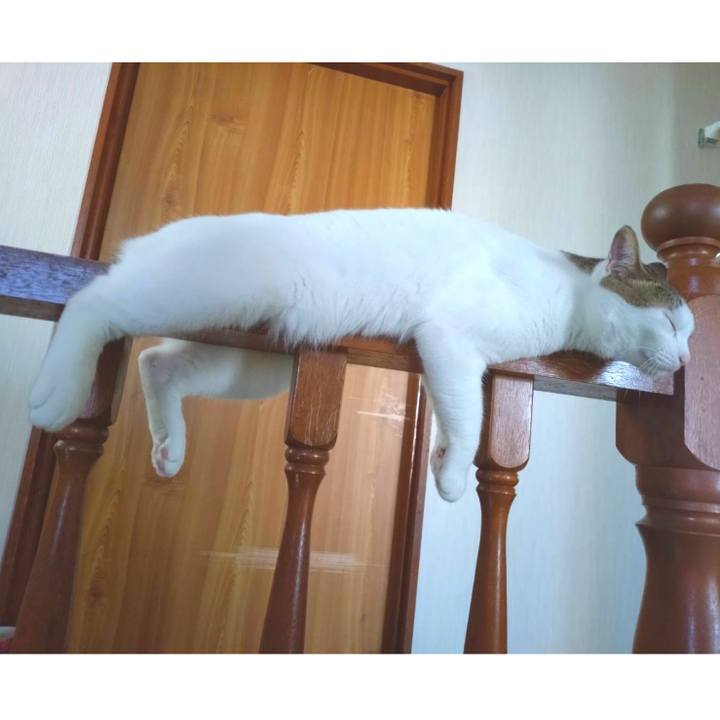 Eb4e5138 ba65 4044 bedf 8511478a3f68 1723338747786