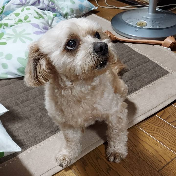 Eb4e880d 39e7 4d3e a1f1 45f81f84fab2 1624532869672